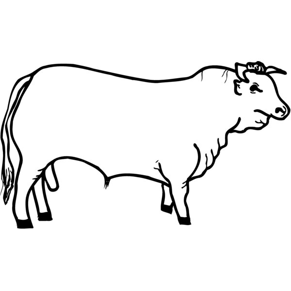 COW001 Thumbnail