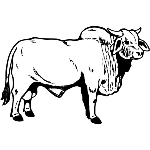 COW015 Thumbnail