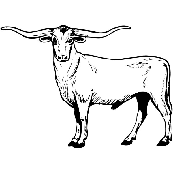 COW016 Thumbnail