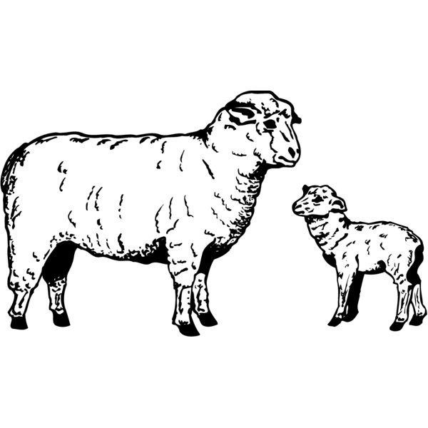 SHEEP010 Thumbnail