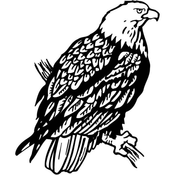 EAGLE024 Thumbnail