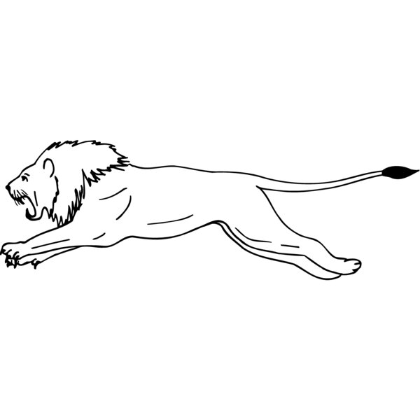 CAT12 Thumbnail