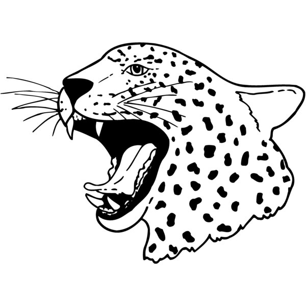 CAT13 Thumbnail