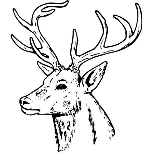 DEER022 Thumbnail