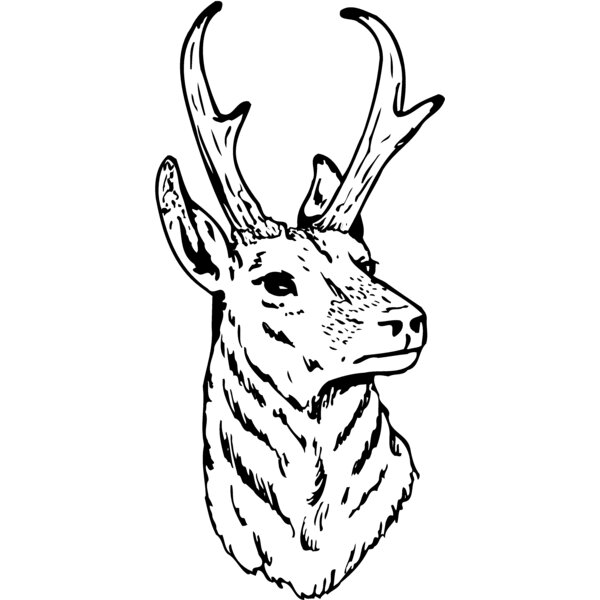 DEER023 Thumbnail