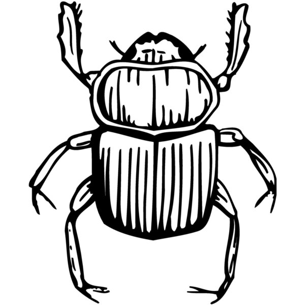 JUNEBUG Thumbnail