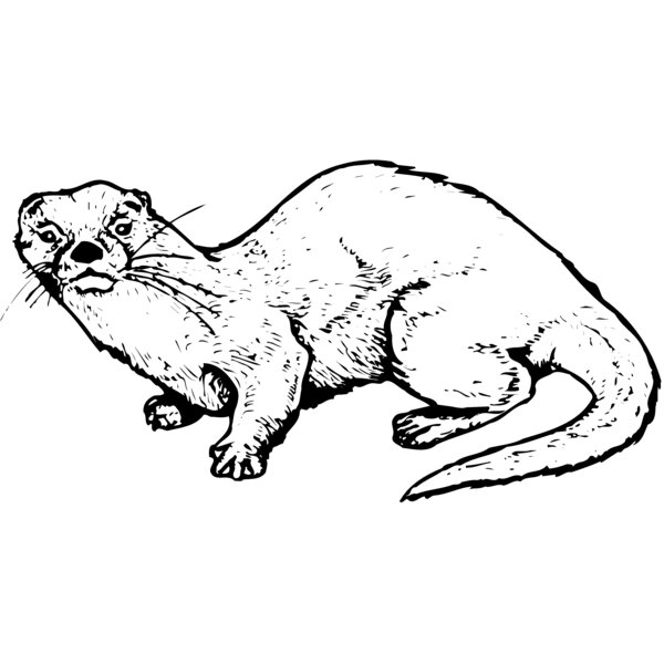 OTTER002 Thumbnail