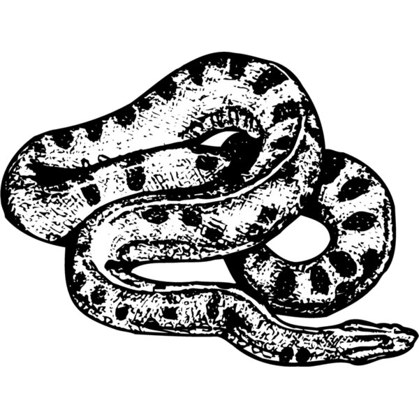 SNAKE010 Thumbnail