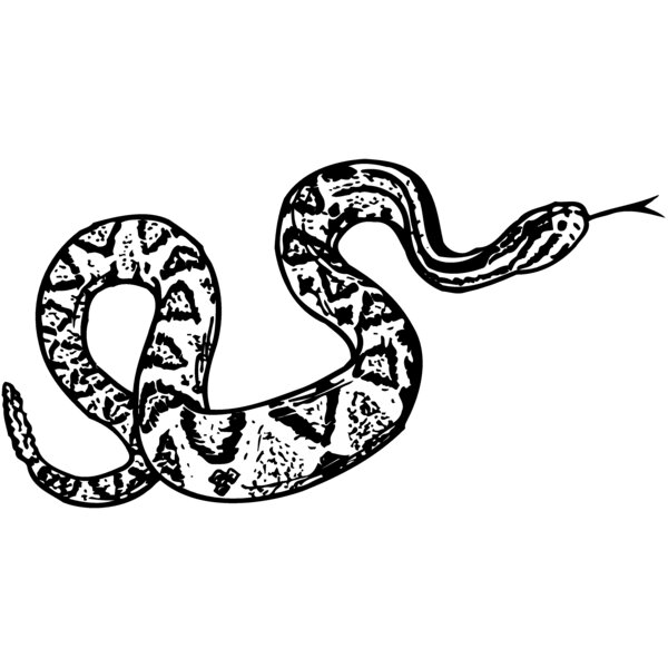 SNAKE011 Thumbnail