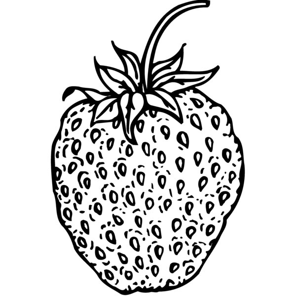 FRUIT009 Thumbnail