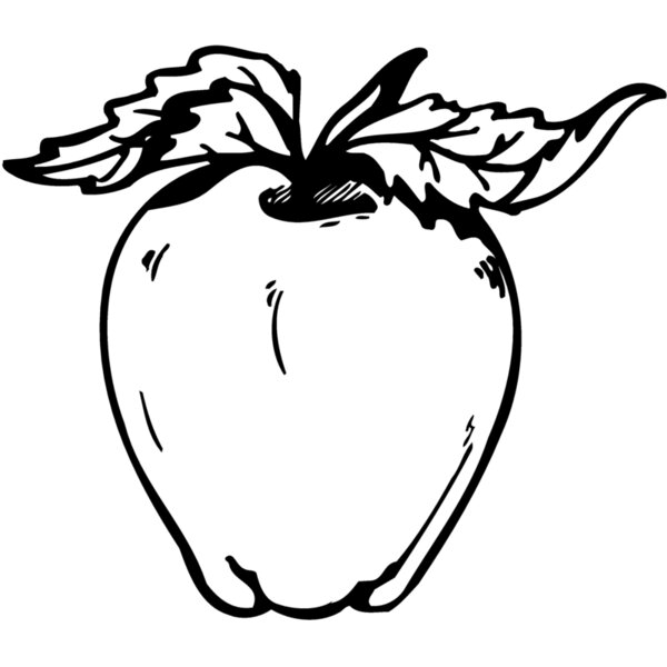 FRUIT021 Thumbnail