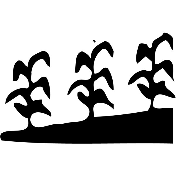 GRAIN016 Thumbnail