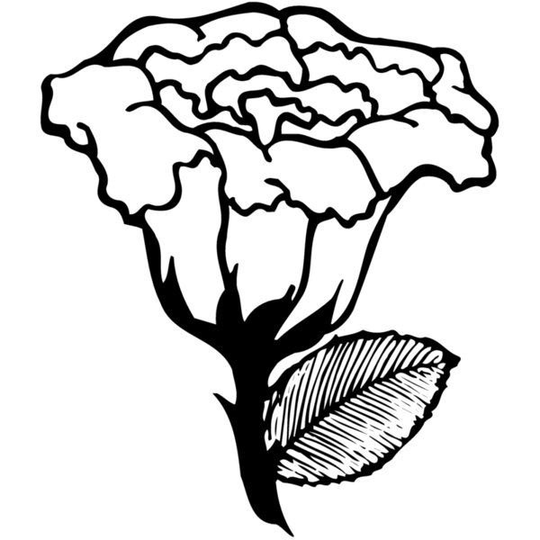 FLOWER10 Thumbnail