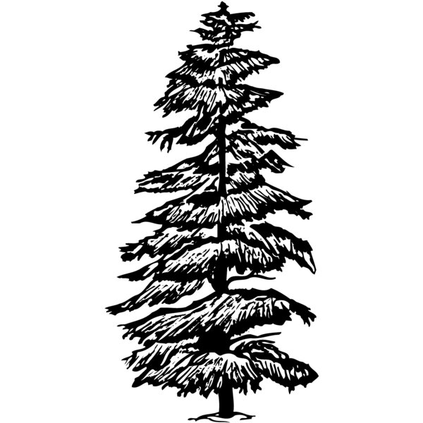 TREE0007 Thumbnail