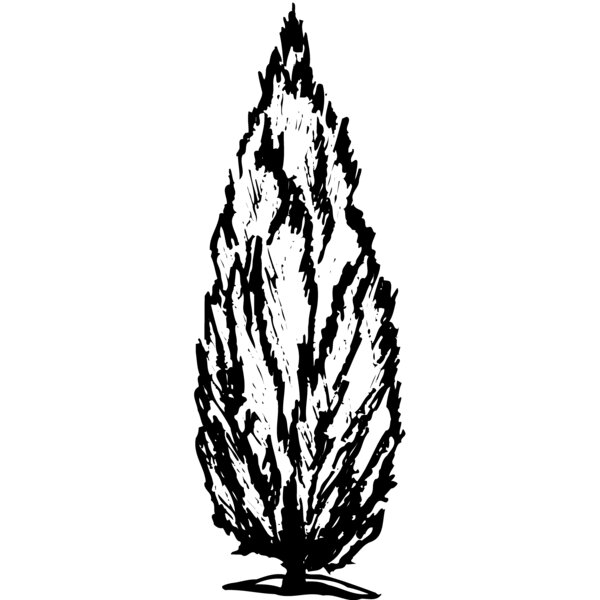 TREE0010 Thumbnail
